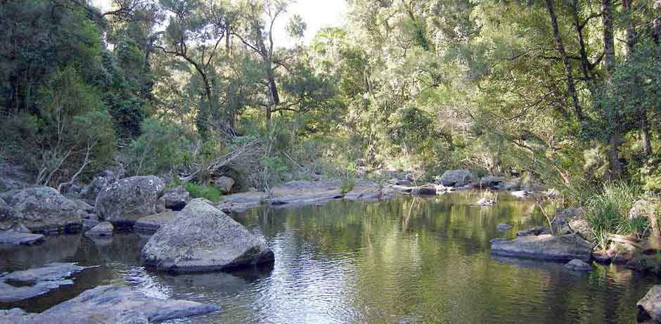 australia Eungella National Park