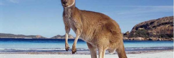 visit Kangaroo Island